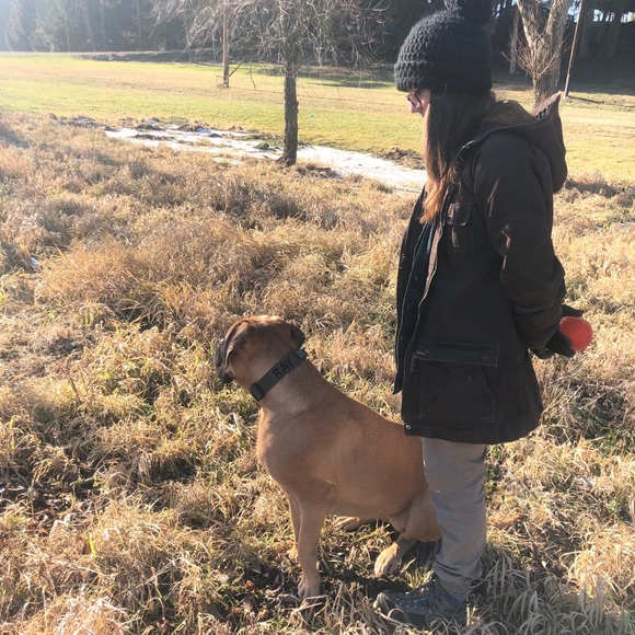 Meet your Posher, Cassidy - Picture 3 of 8